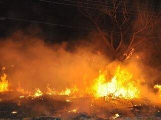 Corumbá registrou 416 focos de queimadas em um mês. (Foto: Diário Corumbaense)
