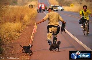 Bombeiro leva um animal na mão, um na corrente, outro com um pedaço de pano e outro o acompanha para fugir do incêndio (Foto: Eliel Oliveira)