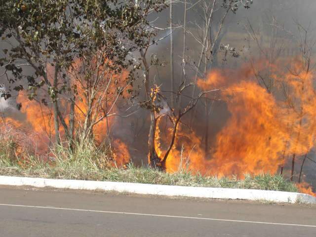  Inc&ecirc;ndio na vegeta&ccedil;&atilde;o na BR-262 mobiliza equipe dos bombeiros desde ontem