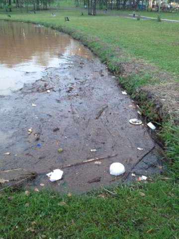 Capivaras dividem espa&ccedil;o com lixo no lago do Parque das Na&ccedil;&otilde;es