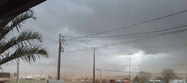 Chuva forte arranca telha em lar de idosos e derruba galhos de &aacute;rvores 