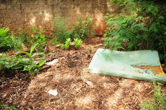 Dengue muda rotina e imp&otilde;e horas de espera a v&iacute;timas da doen&ccedil;a