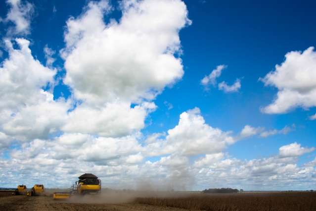 Valor produzido pelo campo deve ser 2,5% maior em 2014