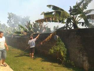 Vizinhos tentam conter o fogo em um terreno da Rua Rotterdan.  (Foto: Zenilde Reis - Direto das Ruas) 
