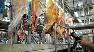 Exportações de carne bovina ajudaram a puxar a balança comercial de MS neste ano. (Kelly Ventorim)