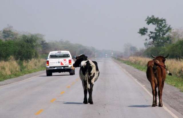 Rota Integra&ccedil;&atilde;o vai a Cochabamba, ap&oacute;s problemas em alf&acirc;ndega boliviana