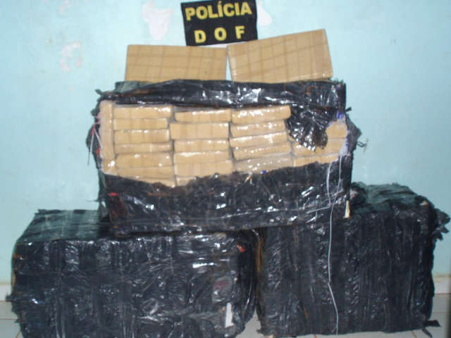  Pol&iacute;cia apreende 140 quilos de maconha escondidas em mata em Amambai