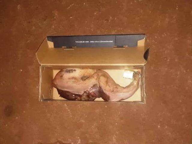 Avisos macabros continuam e mulher recebe l&iacute;ngua de boi com cadeado