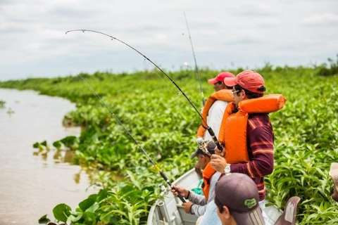 Quase 500 mil turistas passaram pela Rota Pantanal-Bonito de MS em 2015