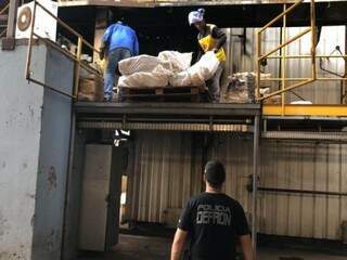 Defron voltou a incinerar drogas hoje em Dourados, sétima destruição do ano (Foto: Divulgação)