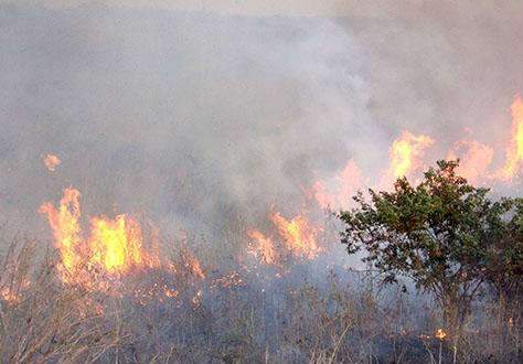  Agosto mal come&ccedil;ou e Corumb&aacute; j&aacute; registra 500 focos de inc&ecirc;ndio