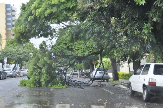 Chuva e vento forte provocam alagamentos e queda de &aacute;rvore na Capital