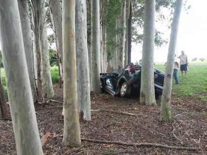 Condutor de 28 anos morre após picape capotar e bate em eucaliptos