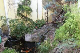 Segundo jardim oriental montado por Rogério fica nos fundos da loja de aquário, em contraste com o cenário em volta (Foto: Kimberly Teodoro)