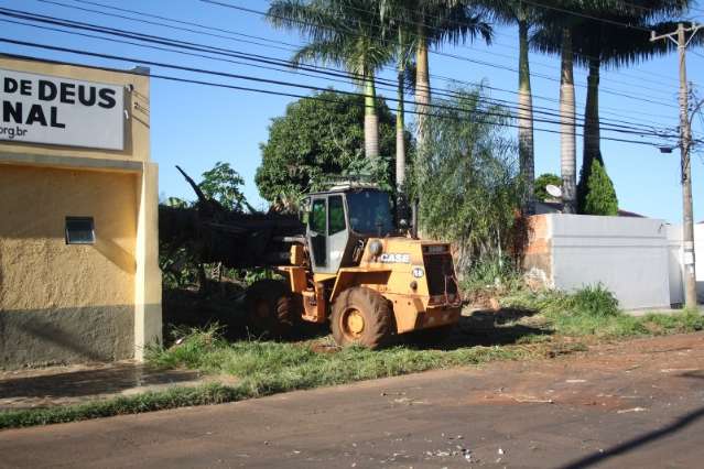 Focos disparam e Prefeitura faz mutir&atilde;o para limpar e multar terrenos