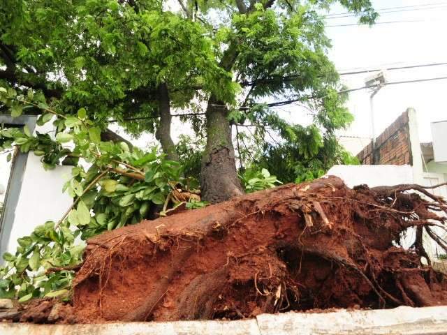 Em meio a chuva forte, 21 bairros ficam sem energia na Capital