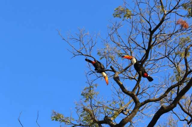 Sol predomina e temperatura tem ligeira eleva&ccedil;&atilde;o no Estado 