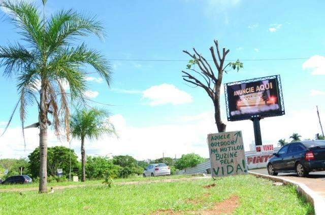 Prefeitura pede investiga&ccedil;&atilde;o sobre corte de ip&ecirc; que gerou protesto