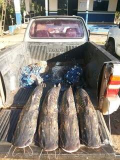 Polícia apreendeu 228 kg de pescado em um mês de piracema. (Foto: PMA/ Divulgação)