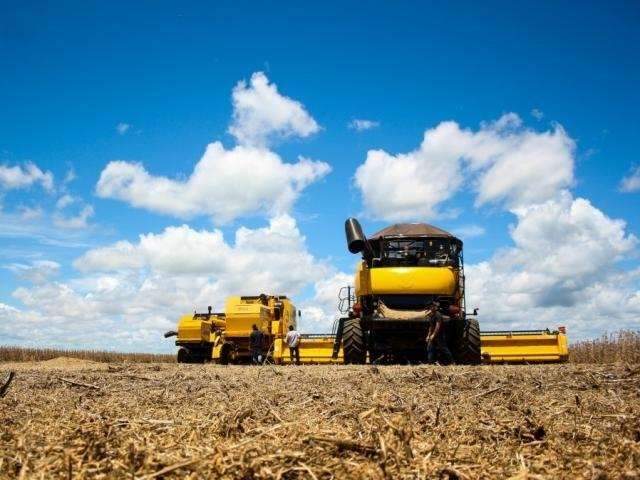 Governo estuda reduzir taxa de juros do cr&eacute;dito para o plano safra