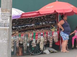 Barraca vende noz da Índia bem no centro da cidade (Foto: Alan Nantes)