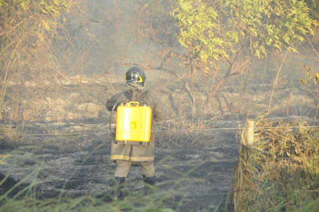  Inc&ecirc;ndio destr&oacute;i 500 metros de vegeta&ccedil;&atilde;o na avenida L&uacute;dio Coelho