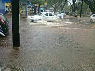  &Aacute;rvore despenca sobre ve&iacute;culo no centro de Campo Grande 