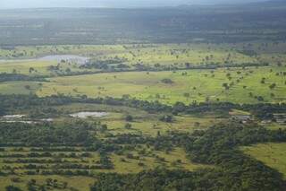 Cadastro Ambiental Rural deve ser realizado por proprietários até maio de 2015 (Foto: Marcos Ermínio)