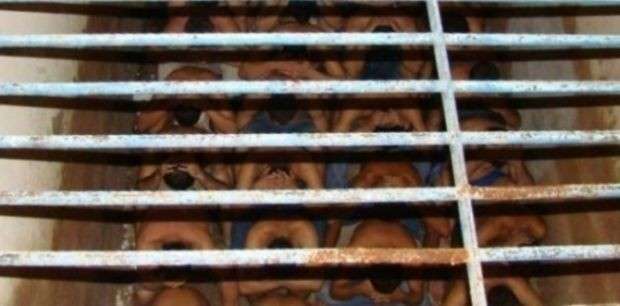 Seis presos considerados perigosos fogem da cadeia em Nova Andradina