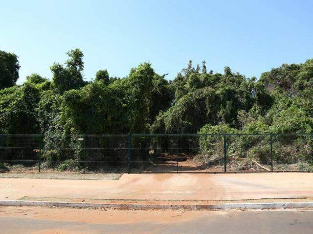 Parecer cita &ldquo;tombamento provis&oacute;rio&rdquo; contra desmate no Parque 