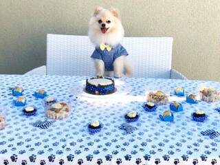 Bento ganhou bolo e muitos salgadinhos e cupcakes para comemorar seu aniversário. (Foto: Acervo Pessoal)
