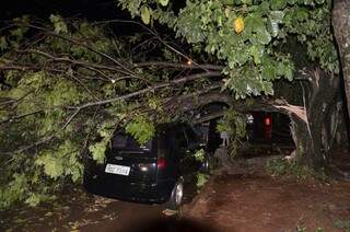 Galho de árvore caiu sobre veículo durante chuva no município de Maracajú, na noite deste sábado (24). (Foto: Divulgação/Defesa Civil)