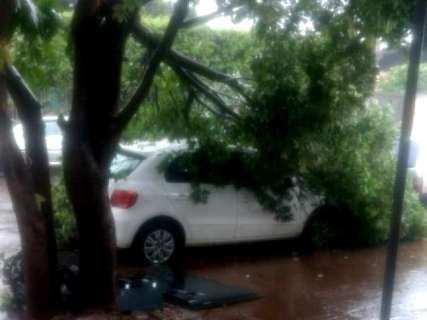 Município registra 126 mm de chuva e acumulado do mês passa 57% do esperado