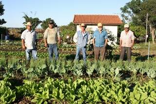 Agricultores que produzem hortaliças no cinturão verde de Naviraí protestam contra discurso de vereadores na Câmara (Foto: Folha de Naviraí/Jr Lopes)