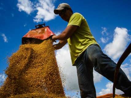 Produtores de MS já conseguiram vender 7 milhões de toneladas de soja