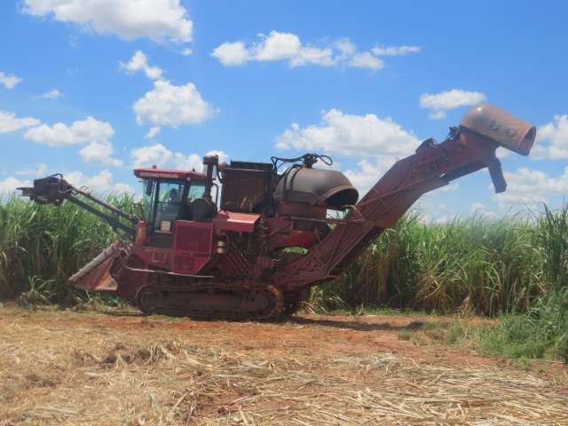Volume de cana-de-a&ccedil;&uacute;car processada &eacute; 18,47% maior do que em agosto de 2014