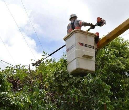 Concession&aacute;ria alerta clientes sobre manuten&ccedil;&atilde;o de rede de energia em Rochedo