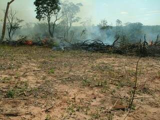 Assentados também foram autuados por desmatamento ilegal (Foto: Divulgação/PMA)