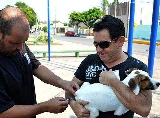 Corumb&aacute; tem 29 casos de raiva em c&atilde;es; 23 mil animais foram vacinados
