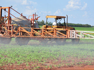 Embrapa de Dourados alerta que é preciso 80 a 90 mm de chuva para plantio de soja. (Foto: Arquivo)