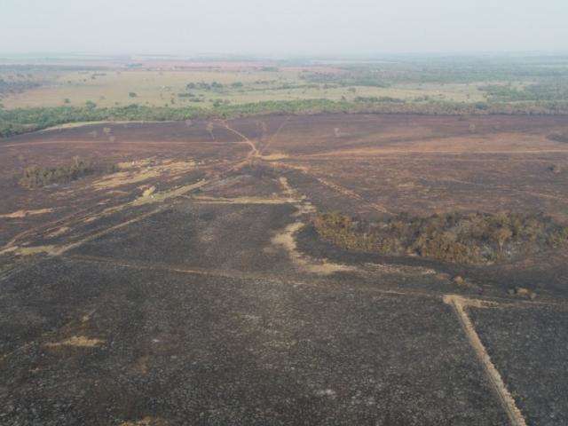 Usina &eacute; multada em quase meio milh&atilde;o por inc&ecirc;ndio em 441 hectares 