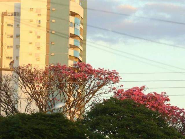 Tempo continua seco, sem previsão de chuvas e máxima de 30ºC nesta terça em MS