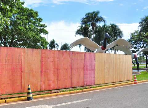  Reconstru&iacute;do, tuiui&uacute; do aeroporto manter&aacute; o mesmo perfil 