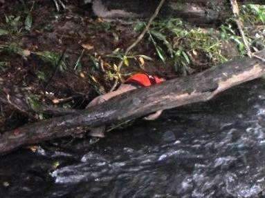 Corpo &eacute; encontrado amarrado pelo pesco&ccedil;o e m&atilde;os em rio de aldeia  