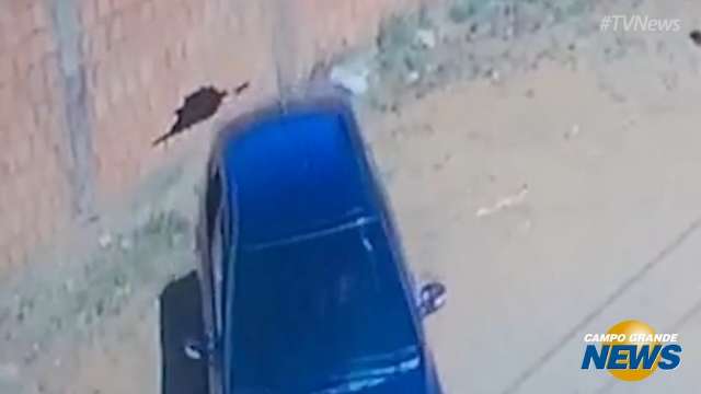 Motorista bate em muro, deixa buraco e vai embora sem olhar para tr&aacute;s
