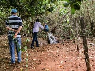 Funcionários utilizam água para espantar abelhas de cima dos animais durante o ataque ocorrido em setembro (Foto: Arquivo/Kisie Ainoã)