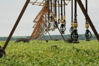 Mato Grosso do Sul registrou recorde da safra de soja. Perto de 8,5 milhões de toneladas em 2,5 milhões de hectares (Foto: Edemir Rodrigues/Secom)