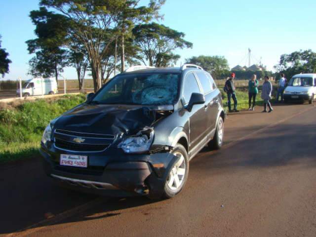 Ind&iacute;gena de assentamento de Dourados morre ap&oacute;s atropelamento na BR-463