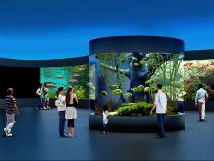 Aqu&aacute;rio do Pantanal ser&aacute; inaugurado sem a biblioteca e laborat&oacute;rios