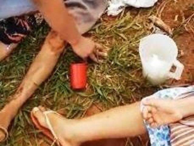 Casal e gestante ficam em estado grave ap&oacute;s serem atacados por vaca em rua 